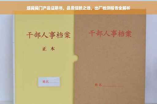 蝶阀阀门产品证明书，品质信赖之选，出厂检测报告全解析