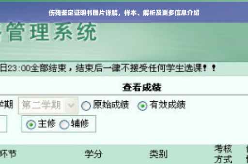 伤残鉴定证明书图片详解，样本、解析及更多信息介绍