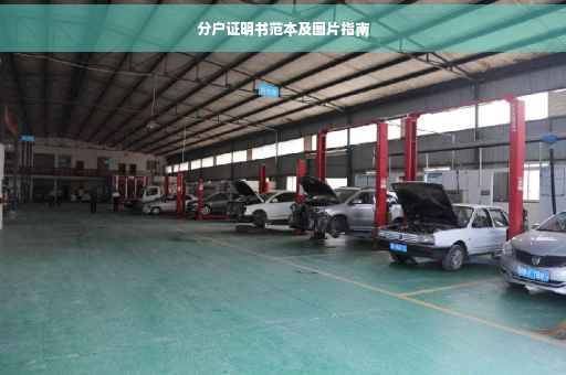 分户证明书范本及图片指南