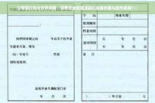 公司银行流水台账详解，洞悉企业经营活动的关键步骤与操作指南?⚡️