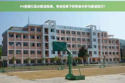 PS前银行流水解读指南，专业视角下的账单分析与解读技巧?