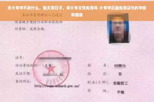 念大专学不到什么，整天混日子，拿大专文凭有用吗-大专学历最有用证书的学校有哪些