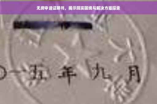 无房申请证明书，揭示现实困境与解决方案探索