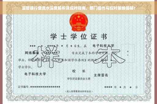 监管银行查流水深度解析及应对指南，部门操作与应对策略揭秘?