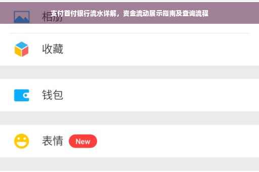 支付首付银行流水详解，资金流动展示指南及查询流程
