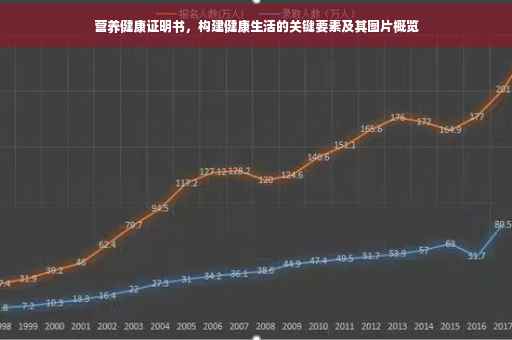 营养健康证明书，构建健康生活的关键要素及其图片概览