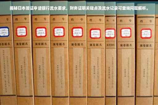 揭秘日本签证申请银行流水要求，财务证明关键点及流水记录可查询问题解析。