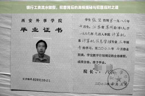 银行工资流水做假，犯罪背后的真相揭秘与犯罪应对之道