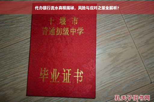 代办银行流水真相揭秘，风险与应对之策全解析?
