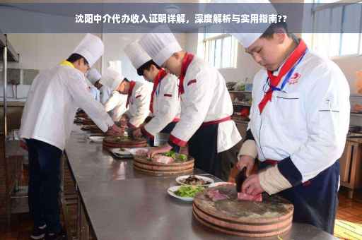 沈阳中介代办收入证明详解，深度解析与实用指南??