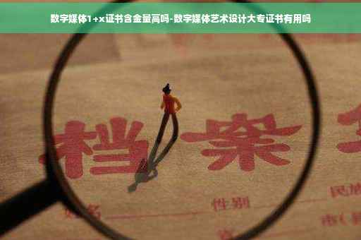 数字媒体1+x证书含金量高吗-数字媒体艺术设计大专证书有用吗