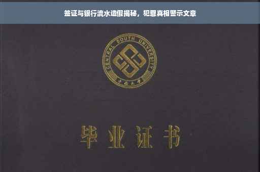 签证与银行流水造假揭秘，犯罪真相警示文章