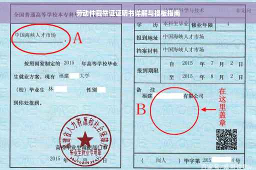 劳动仲裁举证证明书详解与模板指南