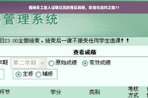 揭秘员工收入证明过高的背后真相，影响与应对之策??
