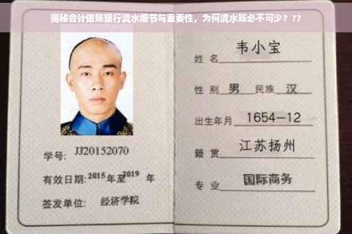 揭秘会计做账银行流水细节与重要性，为何流水账必不可少？??