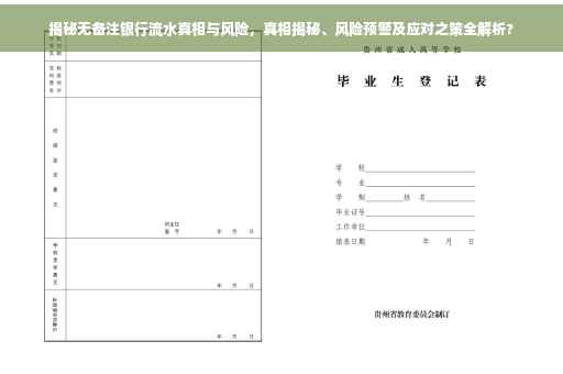 揭秘无备注银行流水真相与风险，真相揭秘、风险预警及应对之策全解析?