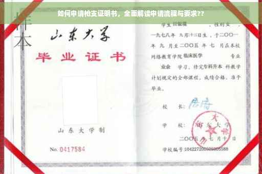 如何申请枪支证明书，全面解读申请流程与要求??