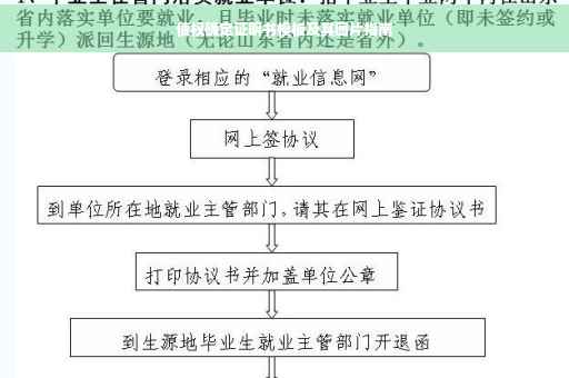债权确定证明书模板及其图片指南