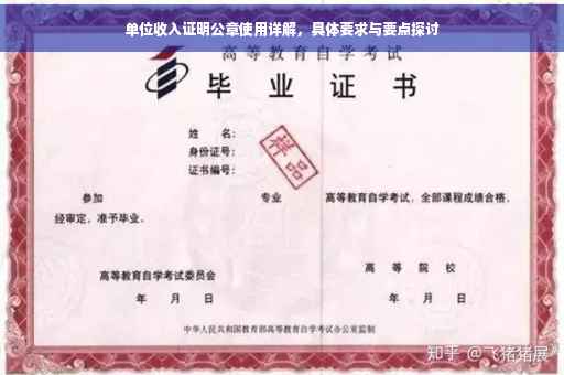 单位收入证明公章使用详解，具体要求与要点探讨