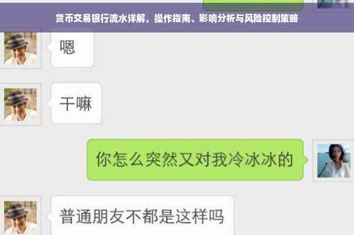 货币交易银行流水详解，操作指南、影响分析与风险控制策略