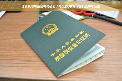 计算机等级证证件号码忘了怎么办,中专计算机证书怎么查