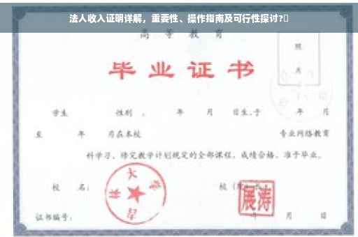 法人收入证明详解，重要性、操作指南及可行性探讨?✨