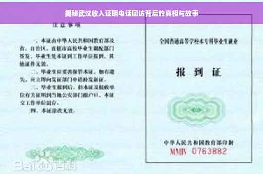 揭秘武汉收入证明电话回访背后的真相与故事