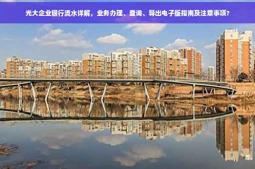 光大企业银行流水详解，业务办理、查询、导出电子版指南及注意事项?