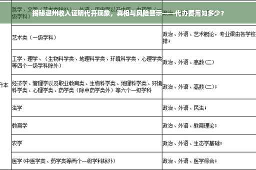 揭秘温州收入证明代开现象，真相与风险警示——代办费用知多少？