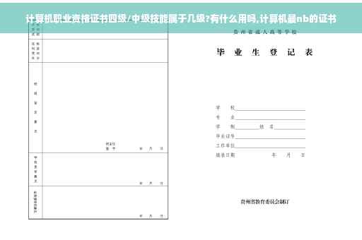 计算机职业资格证书四级/中级技能属于几级?有什么用吗,计算机最nb的证书