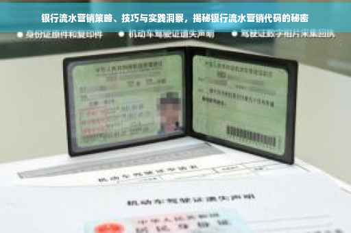 银行流水营销策略、技巧与实践洞察，揭秘银行流水营销代码的秘密