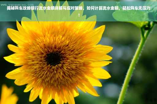 揭秘购车攻略银行流水金额详解与应对策略，如何计算流水金额，轻松购车无压力！