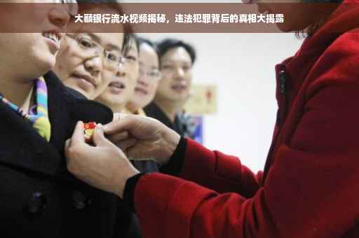 大额银行流水视频揭秘，违法犯罪背后的真相大揭露