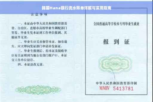 韩国Hana银行流水账单详解与实用指南