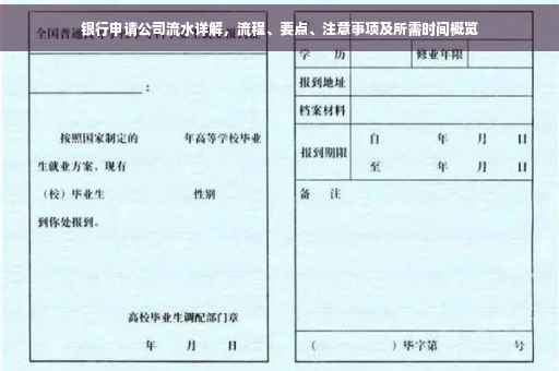 银行申请公司流水详解，流程、要点、注意事项及所需时间概览