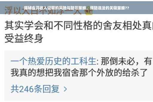 揭秘虚开收入证明的风险与防范策略，预防违法的关键策略??