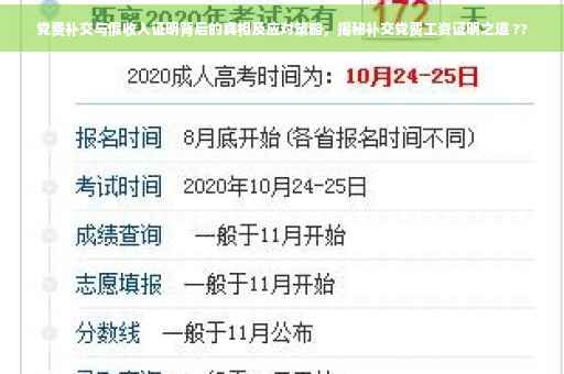 党费补交与假收入证明背后的真相及应对策略，揭秘补交党费工资证明之道 ??