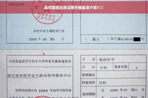 虚拟股权出资证明书模板及介绍?​​