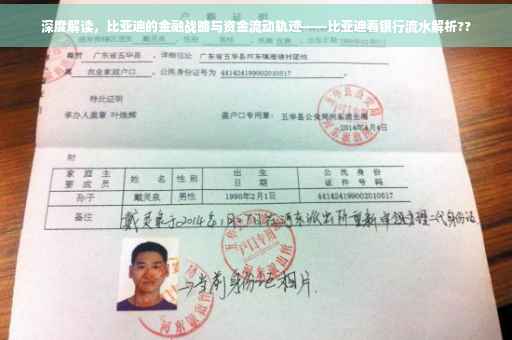 深度解读，比亚迪的金融战略与资金流动轨迹——比亚迪看银行流水解析??