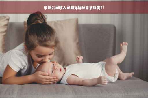 申通公司收入证明详解及申请指南??