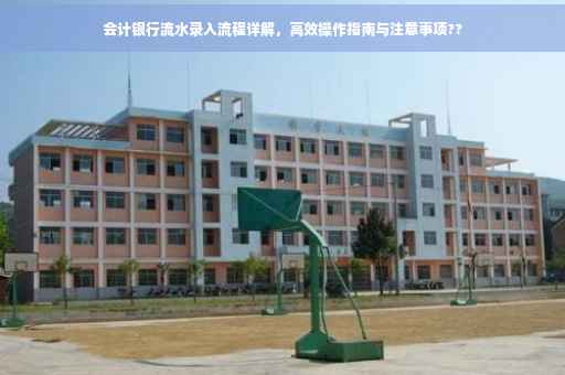 会计银行流水录入流程详解，高效操作指南与注意事项??