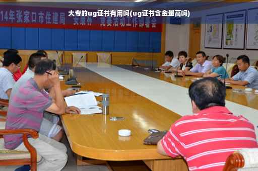 大专的ug证书有用吗(ug证书含金量高吗)