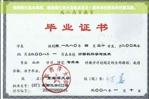 揭秘银行流水真相，哪些银行流水需重点关注？解析真伪背后的犯罪风险。