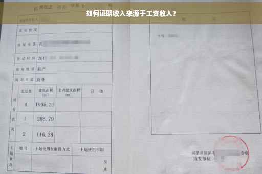如何证明收入来源于工资收入？