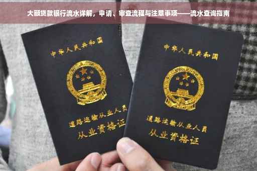 大额贷款银行流水详解，申请、审查流程与注意事项——流水查询指南