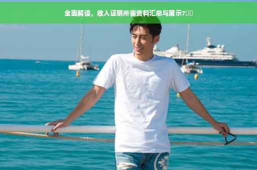全面解读，收入证明所需资料汇总与展示?⚡️