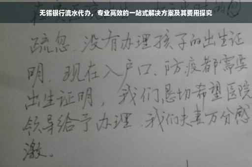 无锡银行流水代办，专业高效的一站式解决方案及其费用探究