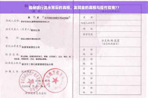 揭秘银行流水背后的真相，发现金的真相与操作指南??
