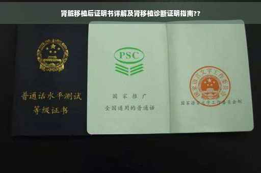 肾脏移植后证明书详解及肾移植诊断证明指南??