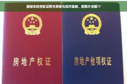 揭秘冻结存款证明书真相与应对策略，附图片详解??